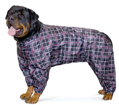 Комбинезон-дождевик "Ротвейлер", 62см