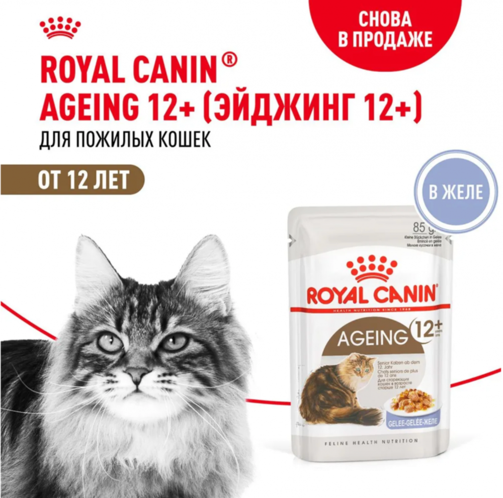 Влажный корм для кошек Royal Canin Ageing +12 кусочки в желе старше 12 лет 85 г