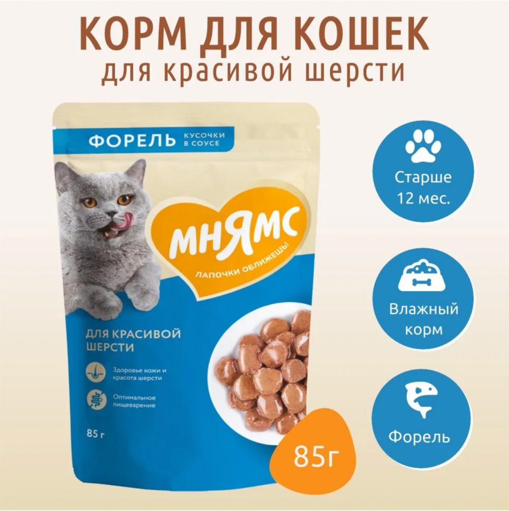 Влажный корм Мнямс Кусочки в соусе с форелью для красивой шерсти кошек 85г