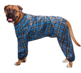 Комбинезон-дождевик Триол "Боксер", 53см