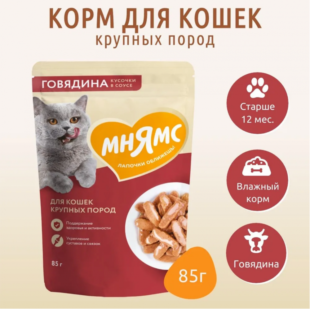 Влажный корм Мнямс Кусочки в соусе с говядиной для крупных кошек 85г