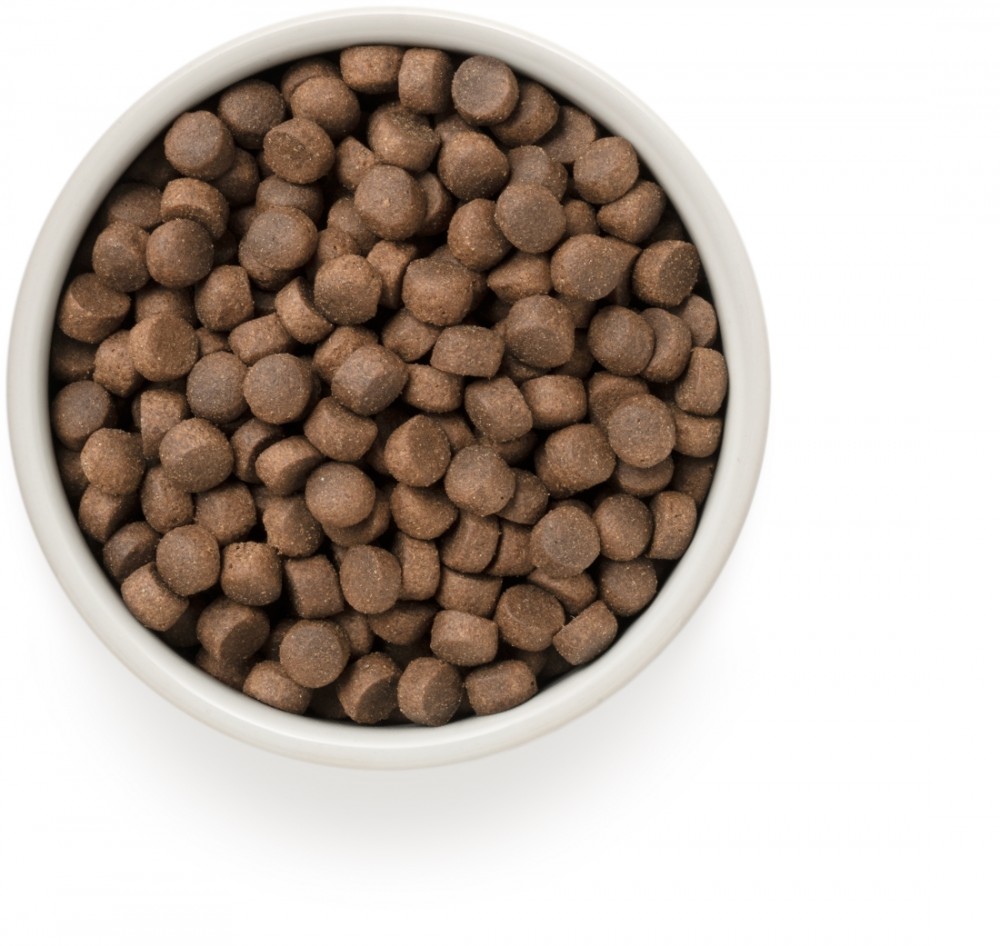 Корм Grandorf 4 Meat Recipe Medium &amp; Maxi Holistic Probiotic для собак средних и крупных пород, с ПРОБИОТИКАМИ, 4 вида мяса с рисом