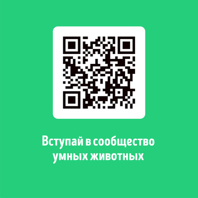 Smart Dog Впитывающие пеленки для собак 60х90, 5 шт