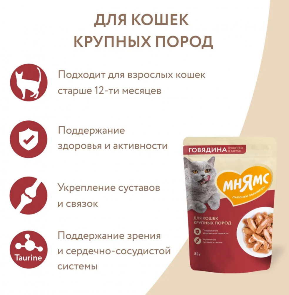 Влажный корм Мнямс Кусочки в соусе с говядиной для крупных кошек 85г