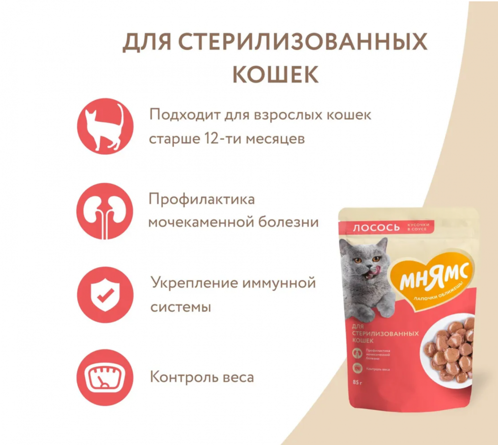 Влажный корм Мнямс Кусочки в соусе с лососем для стерилизованных кошек 85 г