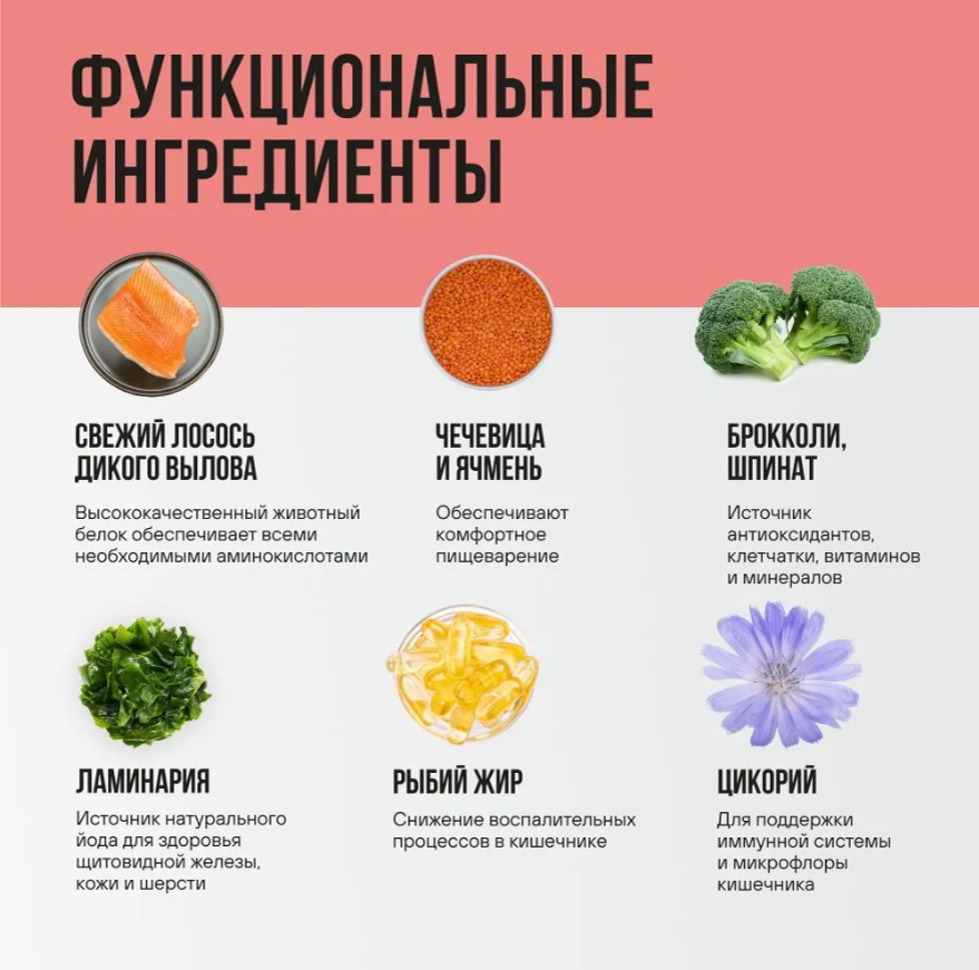 Корм BOWL WOW для стерилизованных кошек с лососем, белой рыбой и брокколи