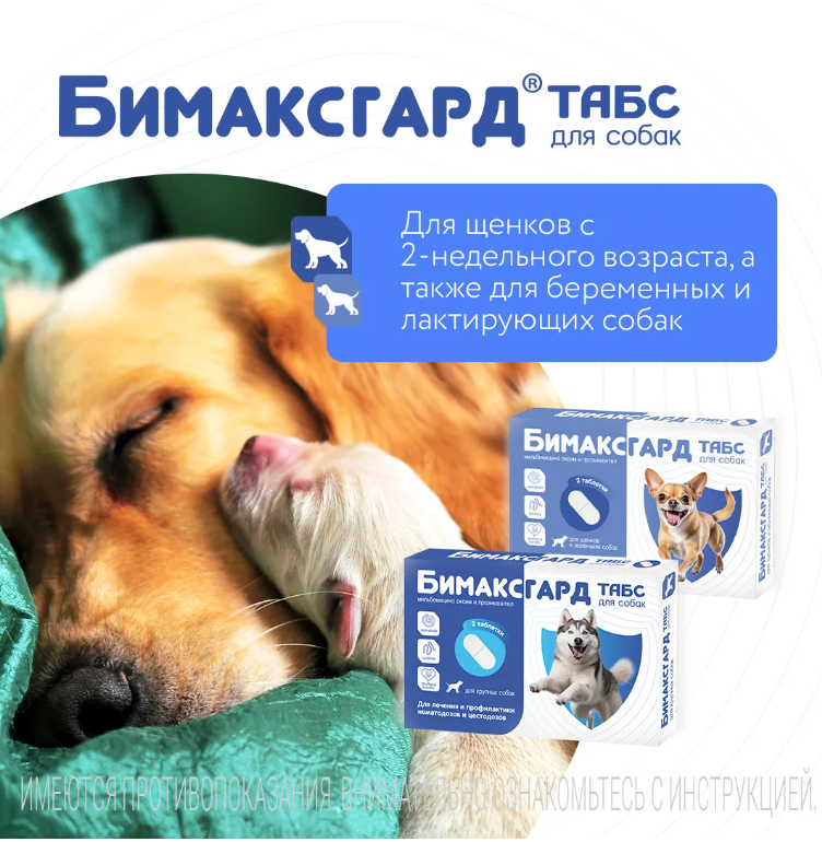 Бимаксгард&reg; ТАБС для крупных собак, 2 таб